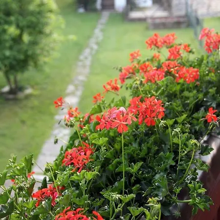 Сasa de vacaciones Casa Giovannella *