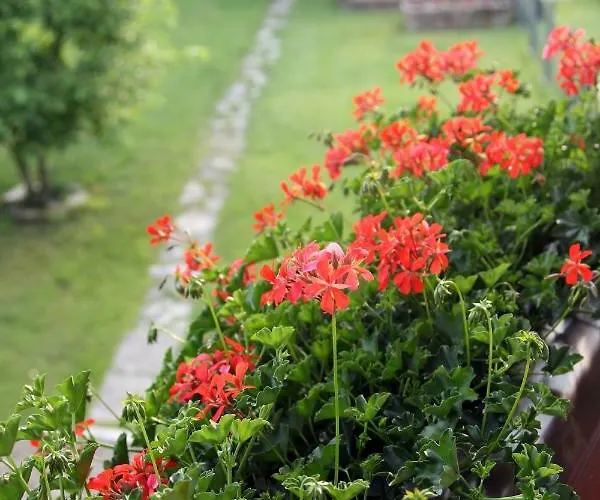 Σπίτι διακοπών Casa Giovannella *